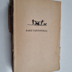 Ernest Thompson Seton : Kaksi partiopoikaa : kertomus kah... - pikkukuva 1