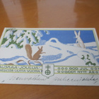 Tubikortti - 1912 Mikkelin pappilaan - pikkukuva 1