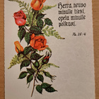 ruusuja, raamatunlause, kulkenut - pikkukuva 1