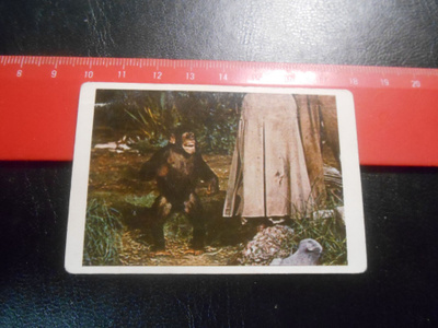 K.6 Jenkki Tarzan purkkakuva # 118