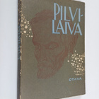 Pilvilaiva : Aleksis Kivi ajan kuvastimessa - pikkukuva 1