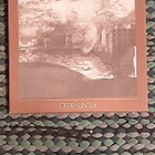 Deerhunter- Why Hasn't Everything Already Disappeared? CD - pikkukuva 1