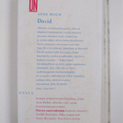 Anne Holm : David - pikkukuva 2