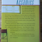 Marilyn French - Kesämies - pikkukuva 2