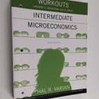Theodore C. Bergstrom : Workouts in intermediate microeco... - pikkukuva 1