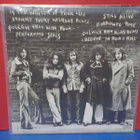 IF - NOT JUST ANOTHER BUNCH OF PRETTY FACES EX+/EX+ LP - pikkukuva 2