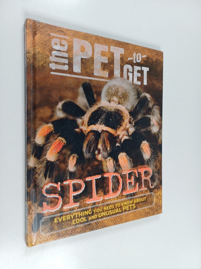 Rob Colson : Spider : everything you need to know about c...