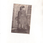 Lapintyttö, kenttäpostia 1944. - pikkukuva 1