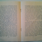 Sauli Jalmari: Tynylän Eeron kana, v. 1938 - pikkukuva 4