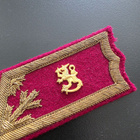 Prikaatikenraalin kauluslaatat - pikkukuva 2