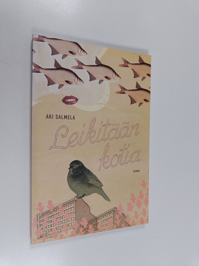 Aki Salmela : Leikitään kotia