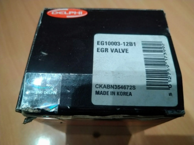 Opel EGR venttiili Delphi EG10003-12B1