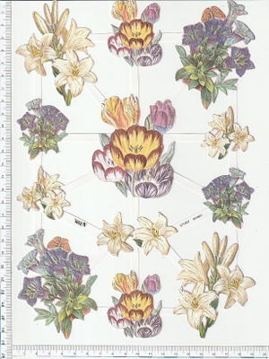 ~ TBZ 571-007, kesäkukkia-arkki ~