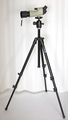 Kaukoputki Nikon ja jalusta Manfrotto