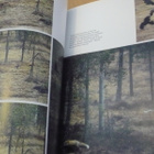 Ruskeakarhu - Erik S. Nyholm & Eero Kemilä 1.p.1990 - pikkukuva 2