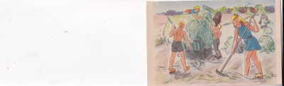Heinän teko, hevonen, Työ. talkoot b606