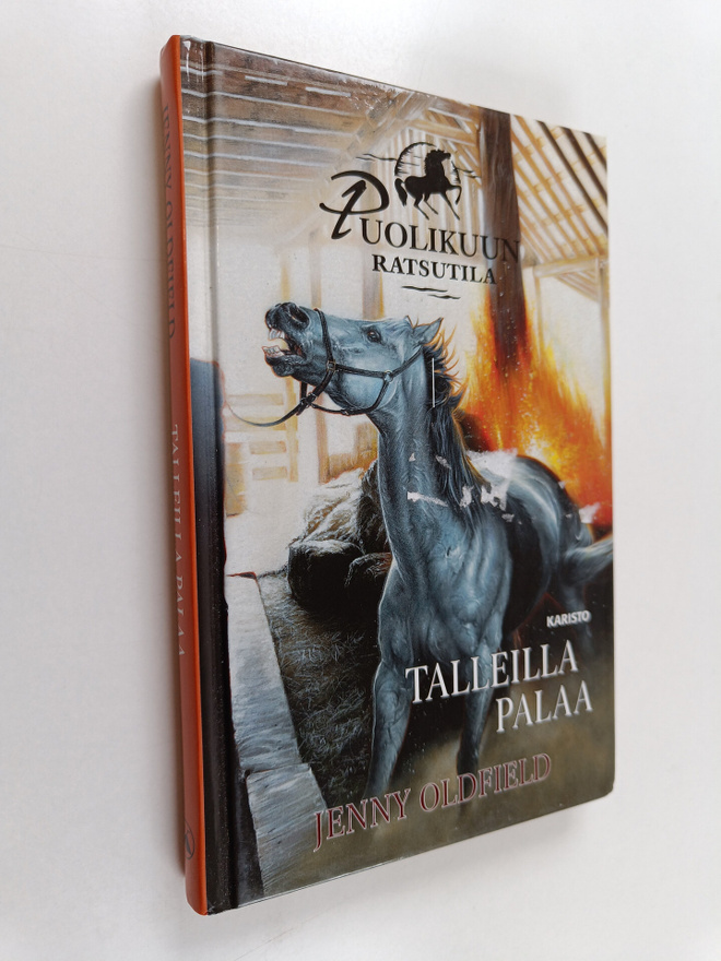 Jenny Oldfield : Talleilla palaa