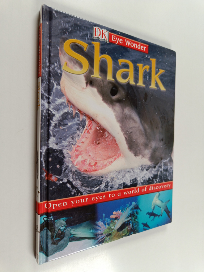 Fleur Star : Shark