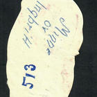 EO 8039 - Ihastuttava vilttivauva 14 - Agathon!!! - pikkukuva 2