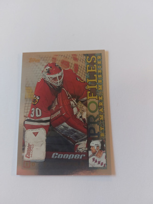 1995-96 Topps Profiles #PF16 Ed Belfour