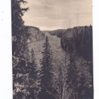 VANHA Postikortti Muhos Oulujoki Leppikallio 1930-l - pikkukuva 1