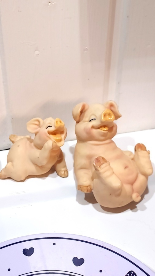 KAKSI ILOISTA POSSU KORISTETTA