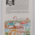 C. A. W. Guggisberg : Birds of East Africa Vol. 1 - pikkukuva 2