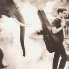 Bryan Adams • On A Day Like Today CD - pikkukuva 1
