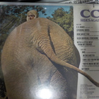 CC - CC RIDES AGAIN u,s -69  M-/M- LP - pikkukuva 2