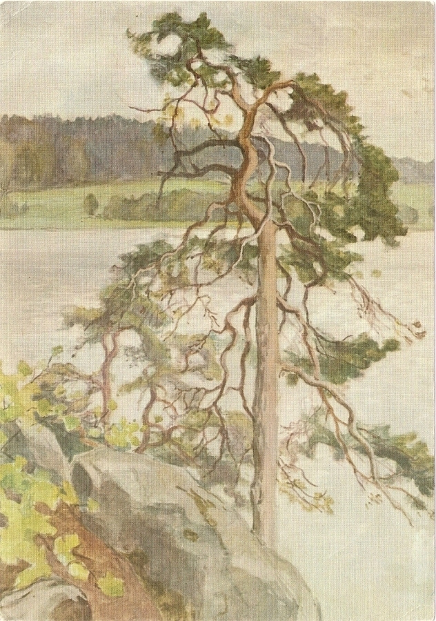 LAURA JÄRNEFELT: Järvimaisema, 14 x 20 cm.