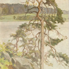 LAURA JÄRNEFELT: Järvimaisema, 14 x 20 cm. - pikkukuva 1