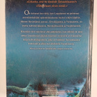 Erin Hunter : Myrsky ja varjo - pikkukuva 2