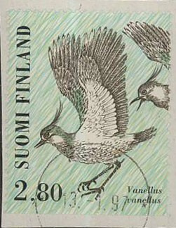 1996 töyhtöhyyppä  loisto