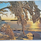 "PAKKASPÄIVÄ"-KULKEMATON 2-os.  JOULUKORTTI - pikkukuva 1