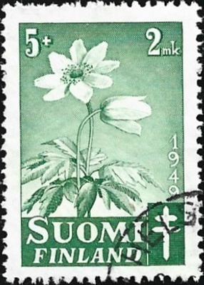 1949 TUB Valkovuokko 5 + 2 mk leimattu LaPe 365 ROSOA