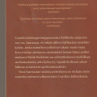 Camilla Läckberg, Saarnaaja - pikkukuva 2