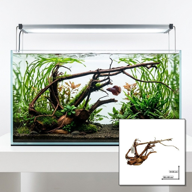 Uniikki akvaariojuurakko 55 cm | nr11A