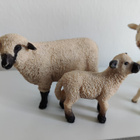 Schleich lampaat - pikkukuva 2