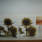 Harbinger CD Second Coming - pikkukuva 1