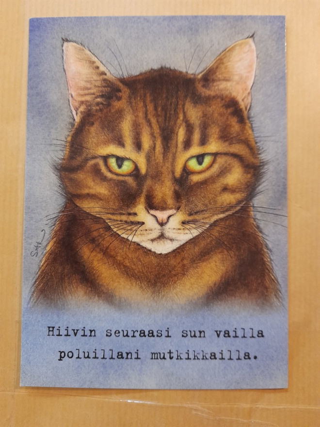Hiivin polullasi sun vailla