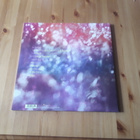 Maybeshewill – Fair Youth lp orig 2014 Post Rock - pikkukuva 3