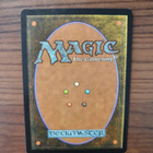 Magic the Gathering Dandân - pikkukuva 2