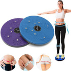 Waisttwisting Disc, Ø 24,5cm, Magneetit, violetti/musta UUSI - pikkukuva 1
