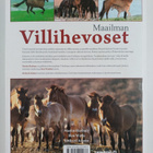 Martin Harbury : Maailman villihevoset - pikkukuva 2