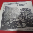 CHRISTIE - EVERYTHING'S GONNA BE ALRIGHT M-/EX- 7'' SINGLE - pikkukuva 2