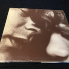 Art Garfunkel Breakaway 1975 Nl press Lp inn NM schrink - pikkukuva 2