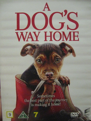 A DOG`S WAY HOME DVD