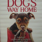 A DOG`S WAY HOME DVD - pikkukuva 1