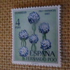 Fernando Poo 1967: kukkia - pikkukuva 5