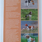 Springeri pentuopas - pikkukuva 2
